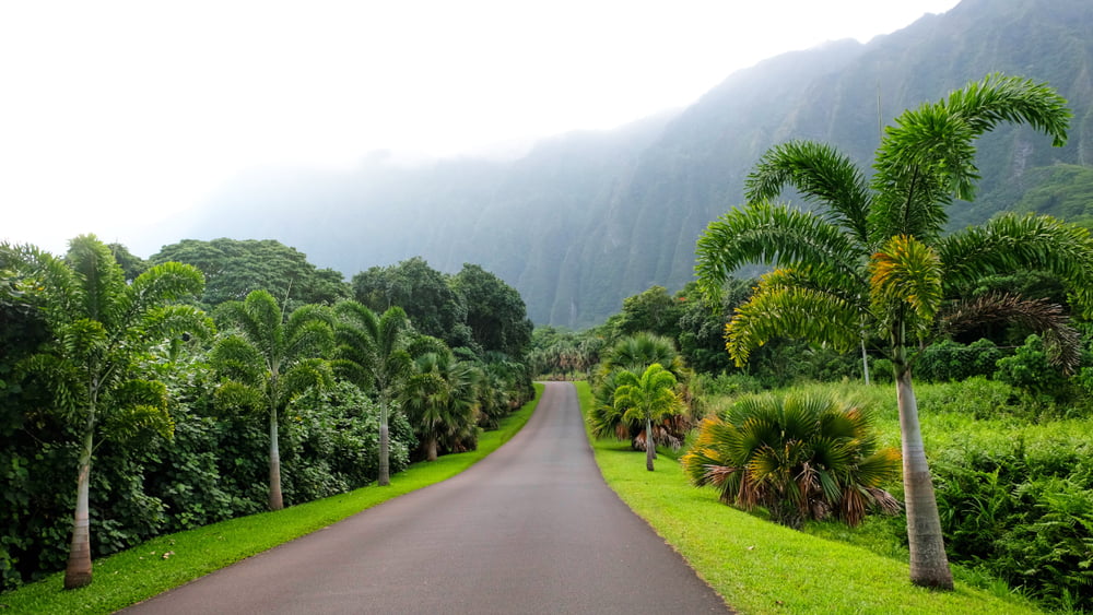 Ho’omaluhia Botanical Garden of Oahu, Hawaii